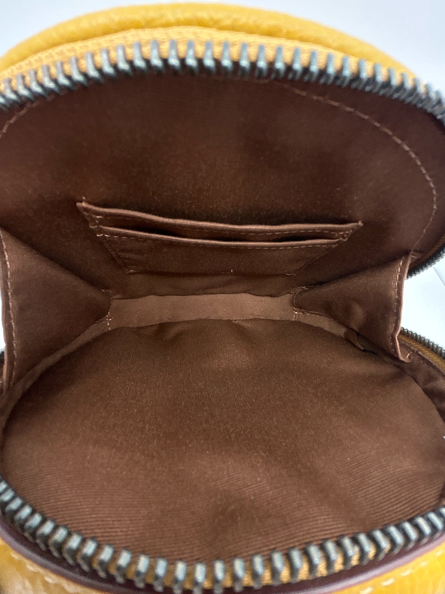 COACH Yellow Women Purse