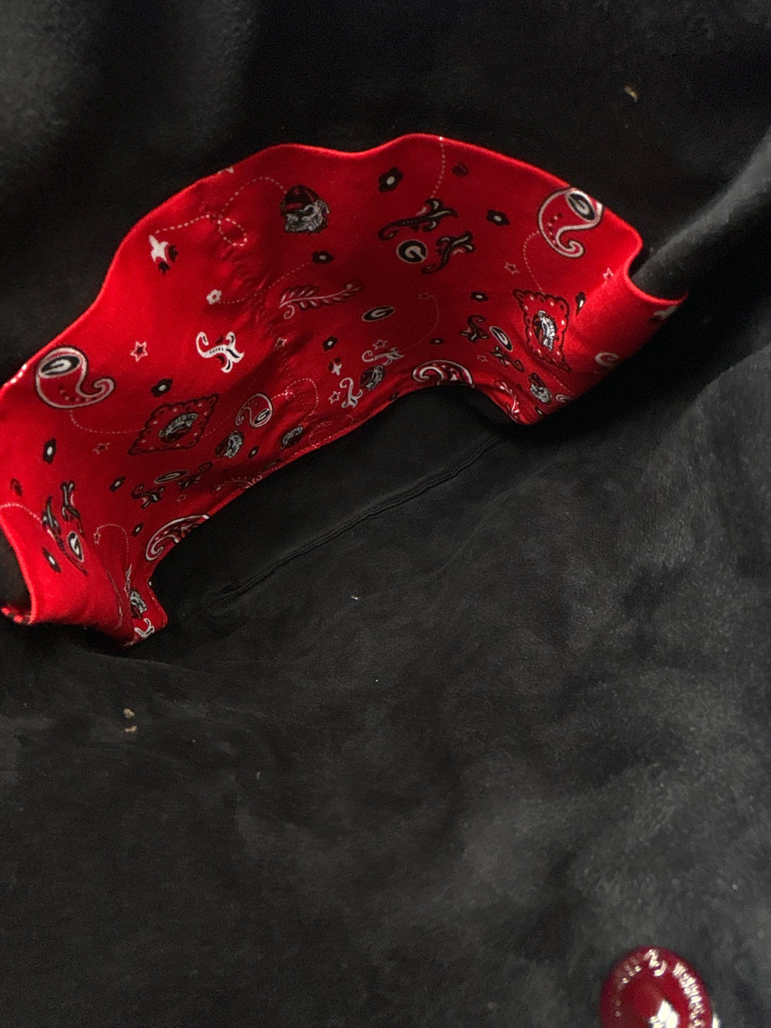Maddy Moo Red and Black Women Purse