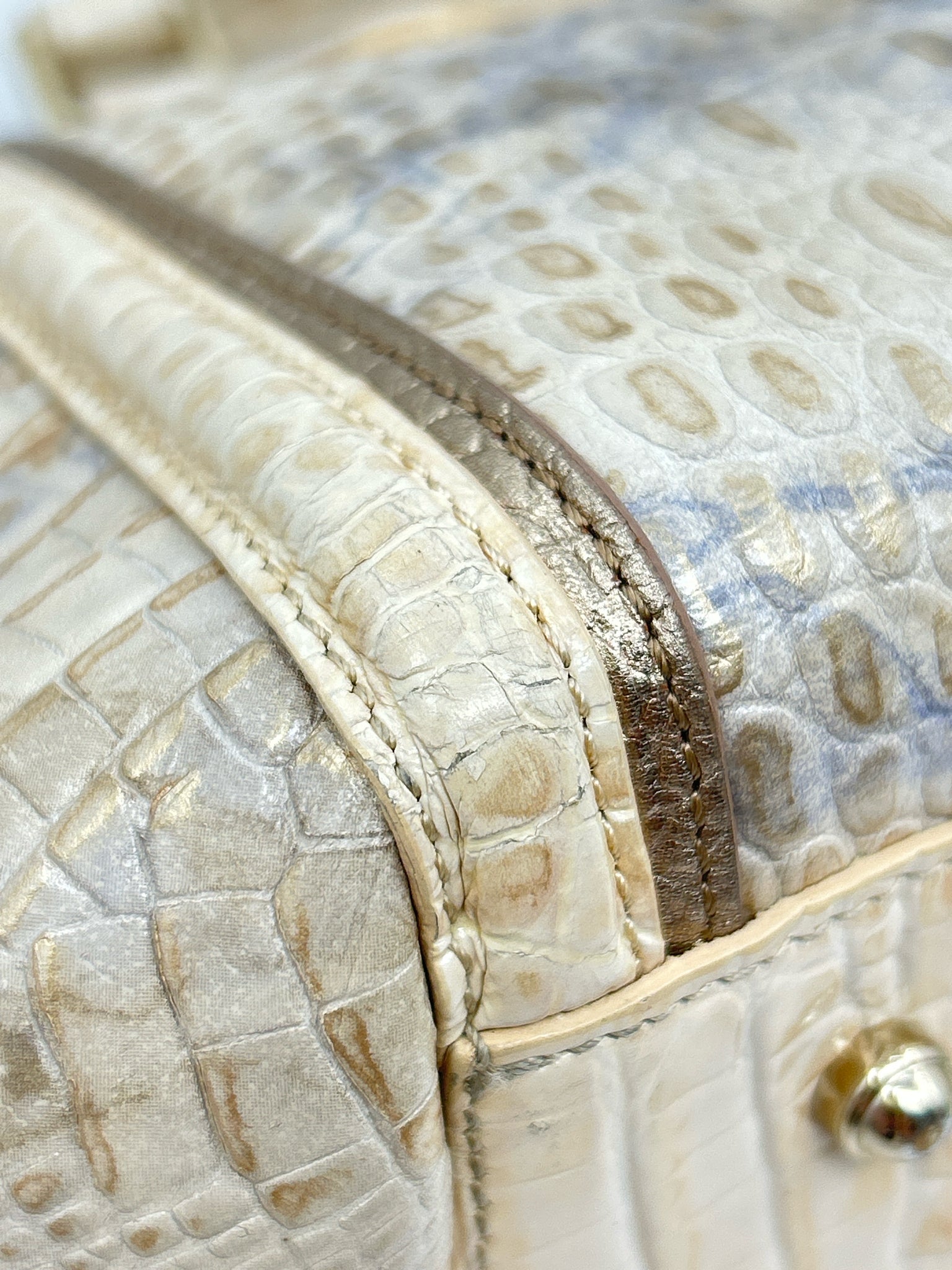 BRAHMIN Cream and Blue Women Purse