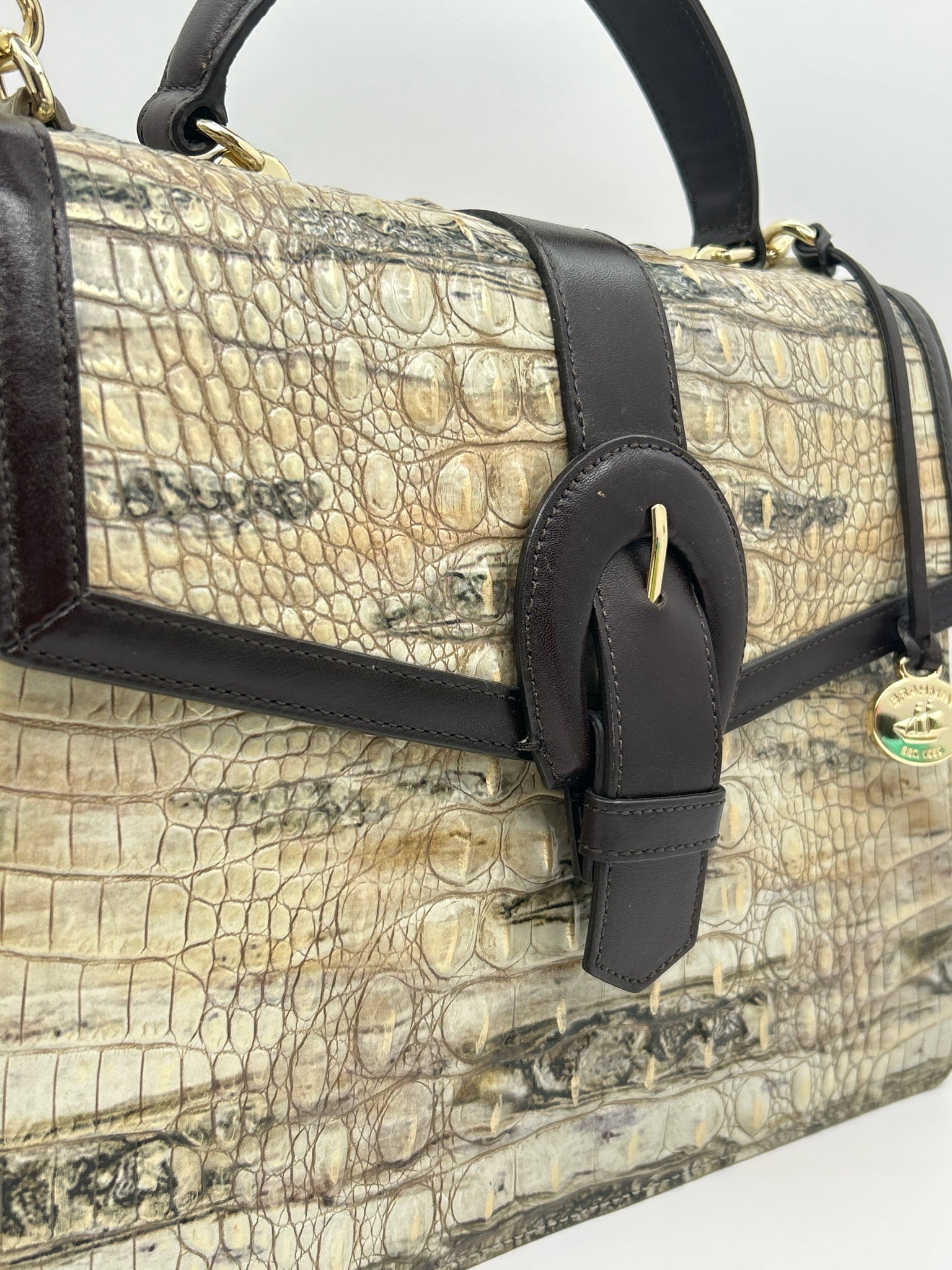 BRAHMIN BROWN AND BEIGE Women Purse