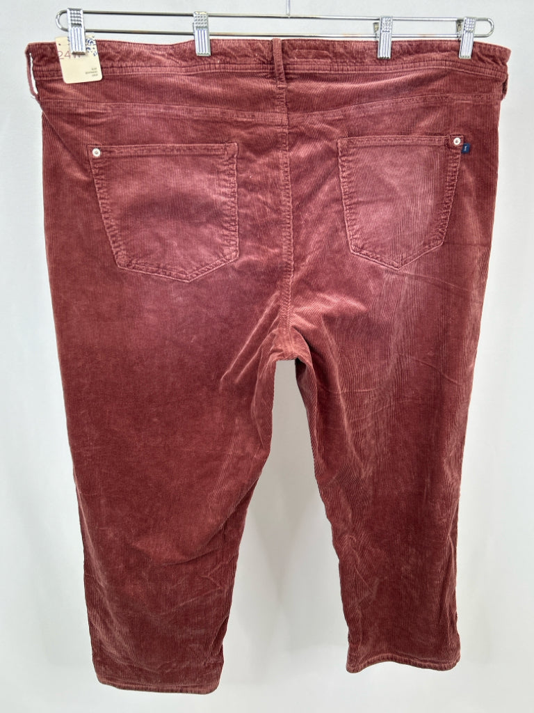 PILCRO Women Size 24W WINE Pants