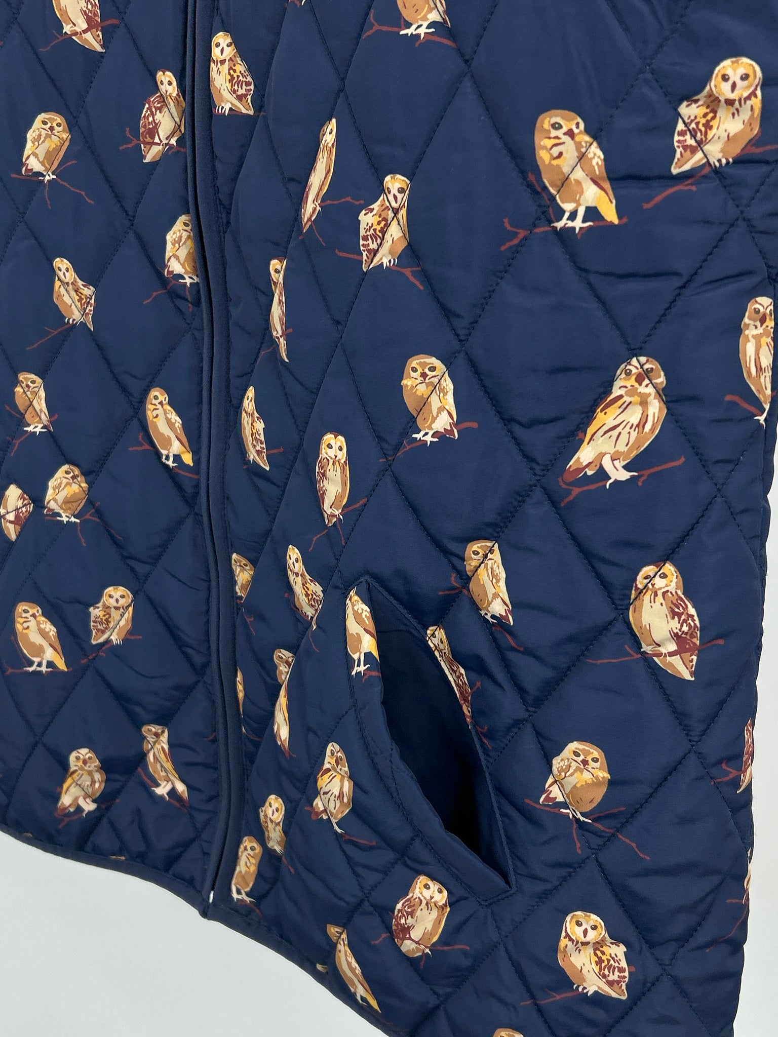 COLDWATER CREEK Size L Blue Print Women Vest