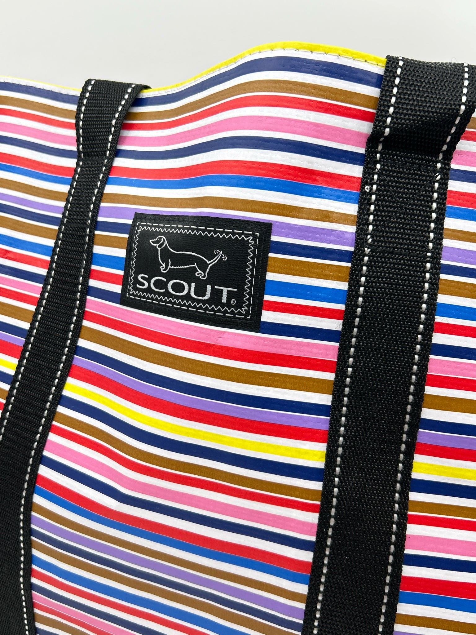 Scout Multi-Color Women Tote