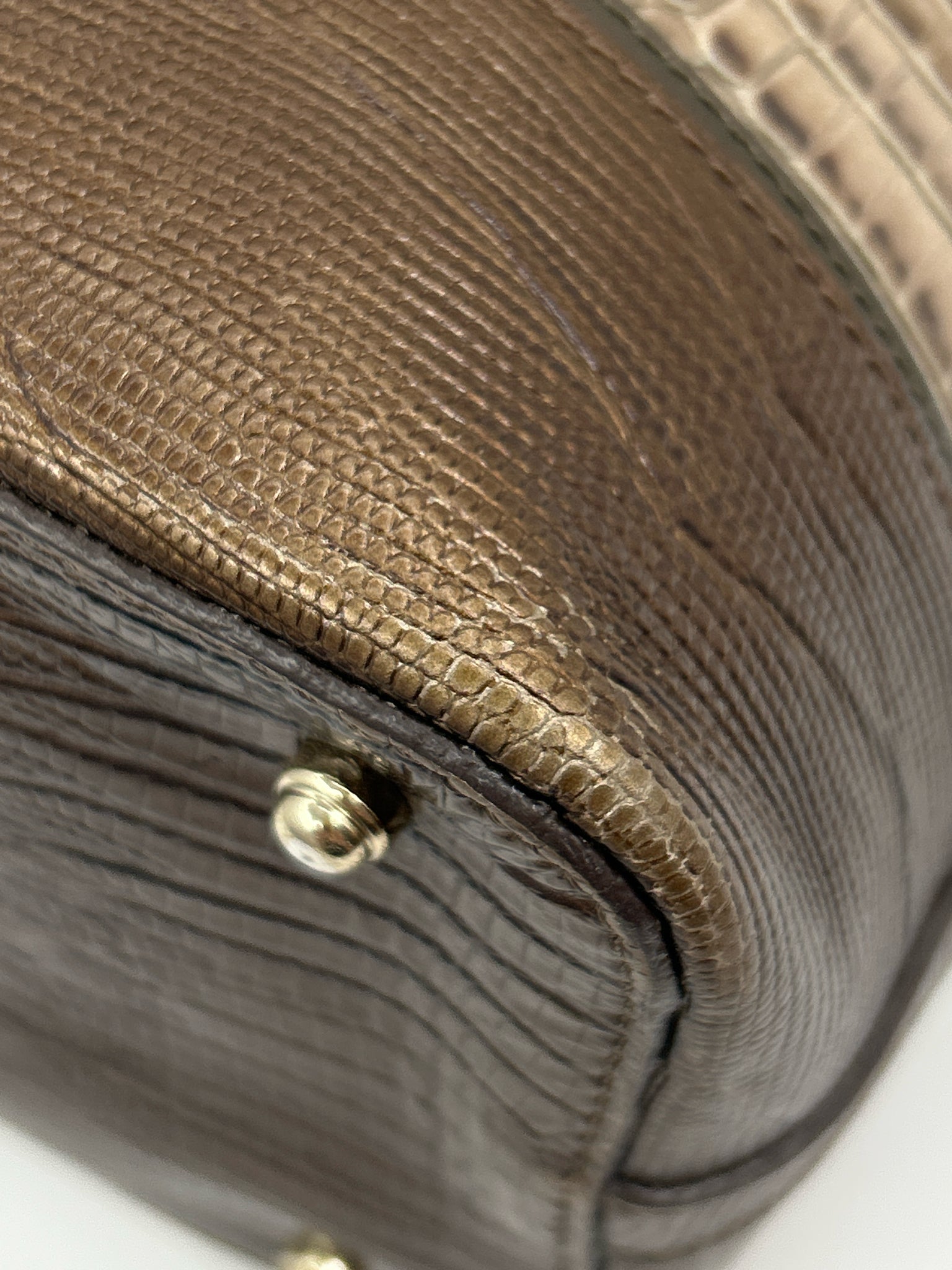 BRAHMIN Beige and Bronze Women Purse