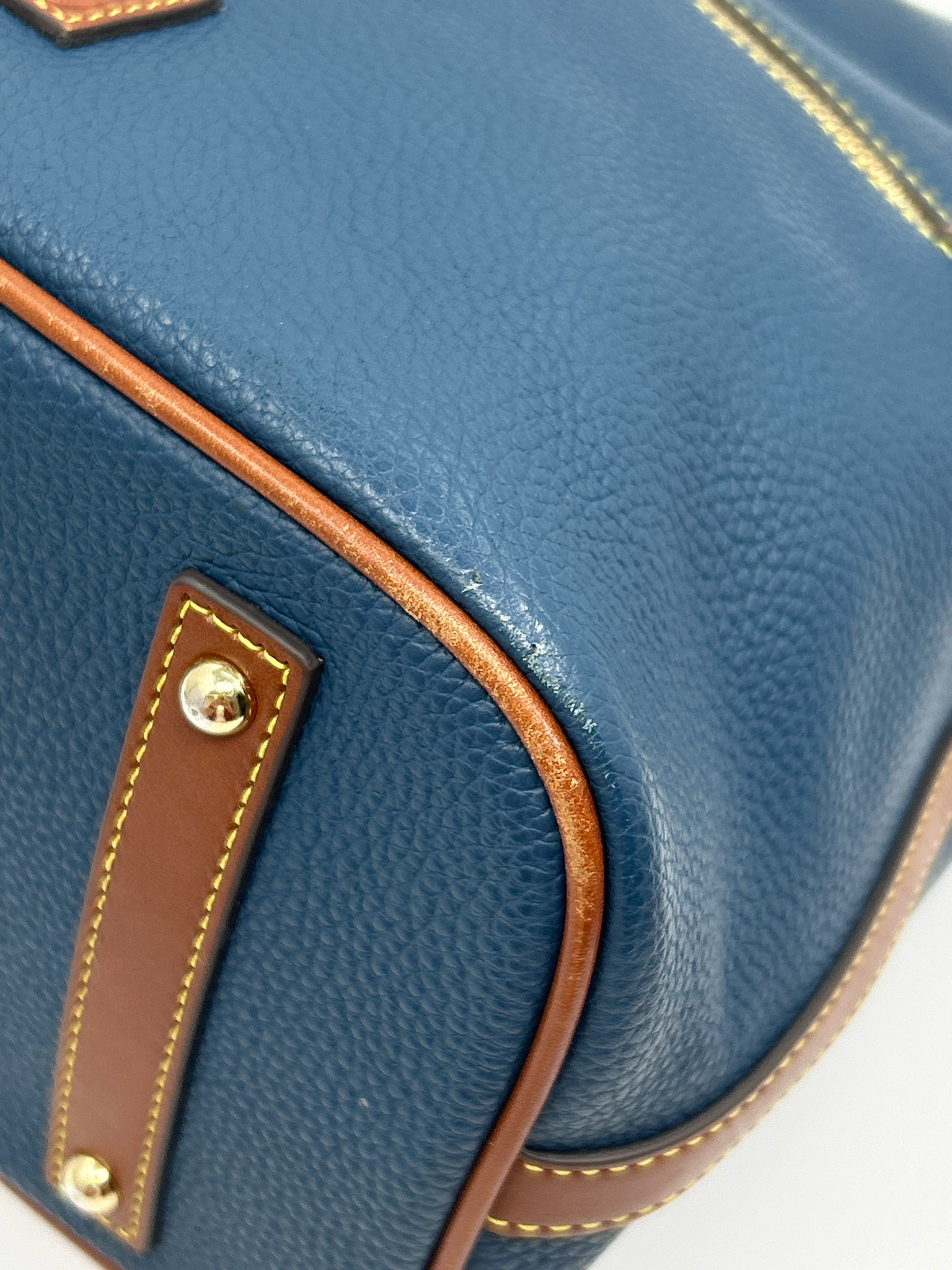 DOONEY & BOURKE Blue and Brown Women Purse
