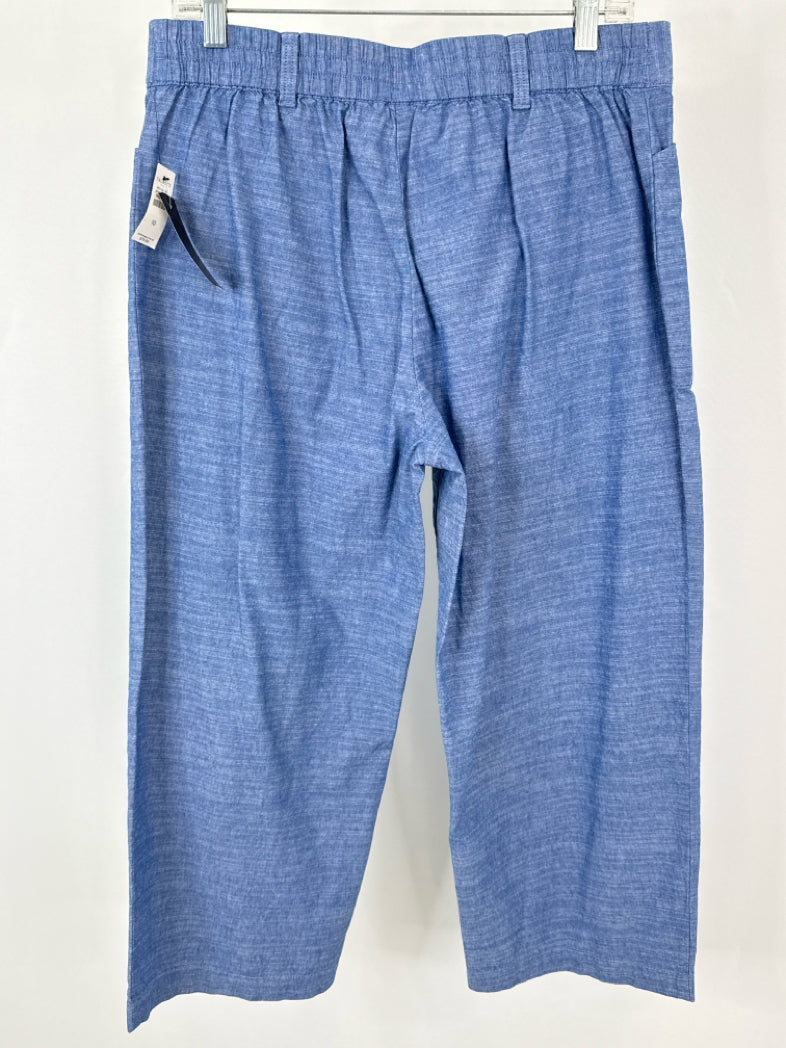 TALBOTS NWT Size 10 Blue Women Pants