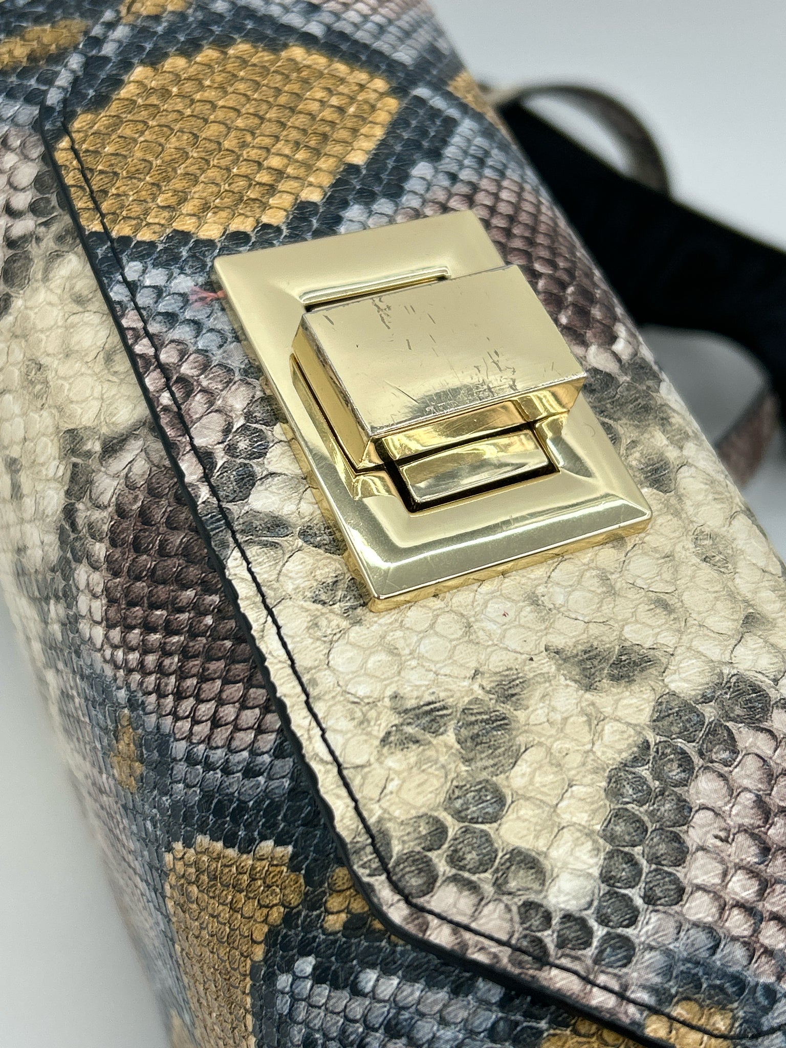 STEVE MADDEN Multi-Color Women Purse