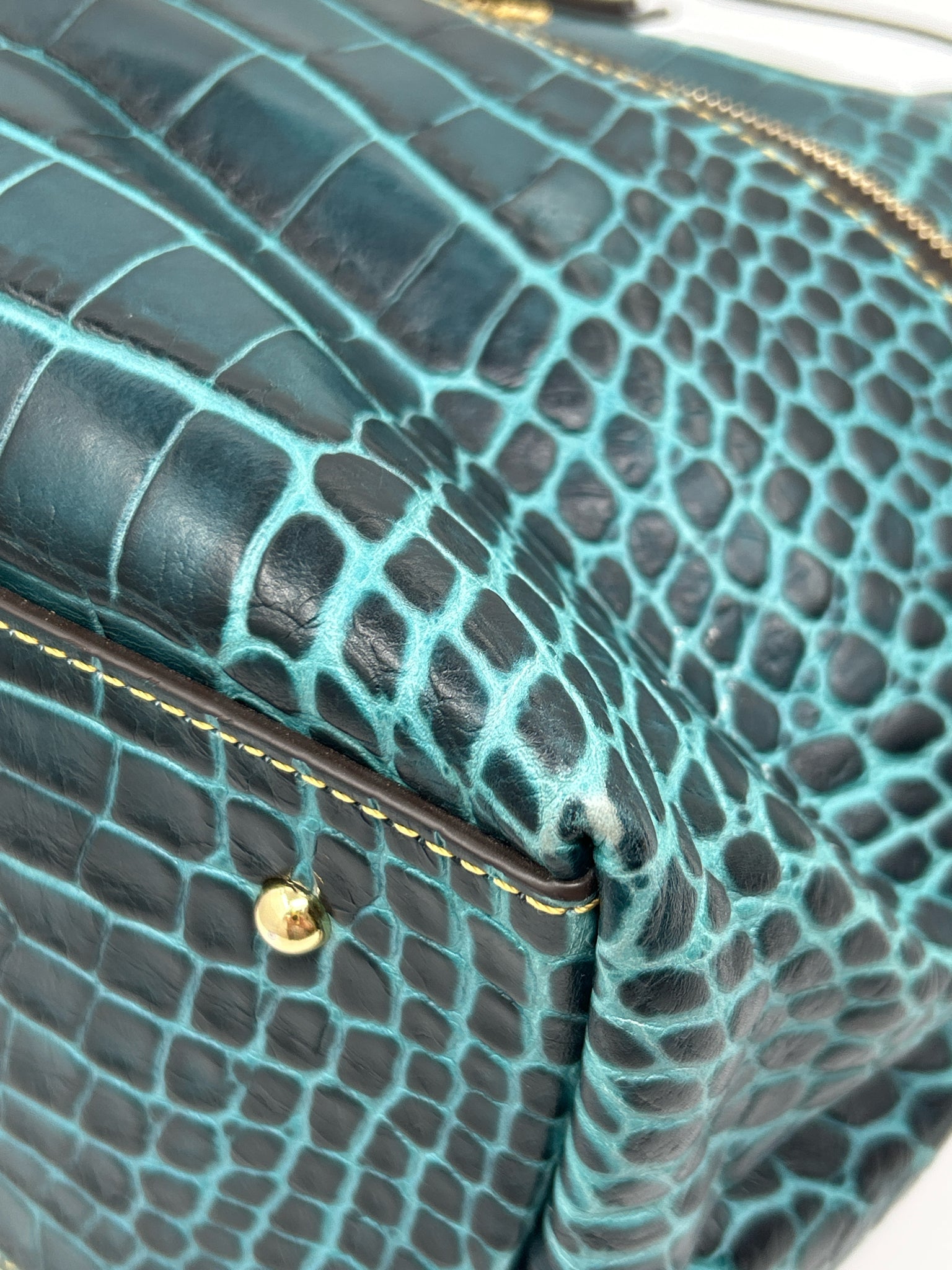 DOONEY & BOURKE TEAL AND BROWN Women Purse