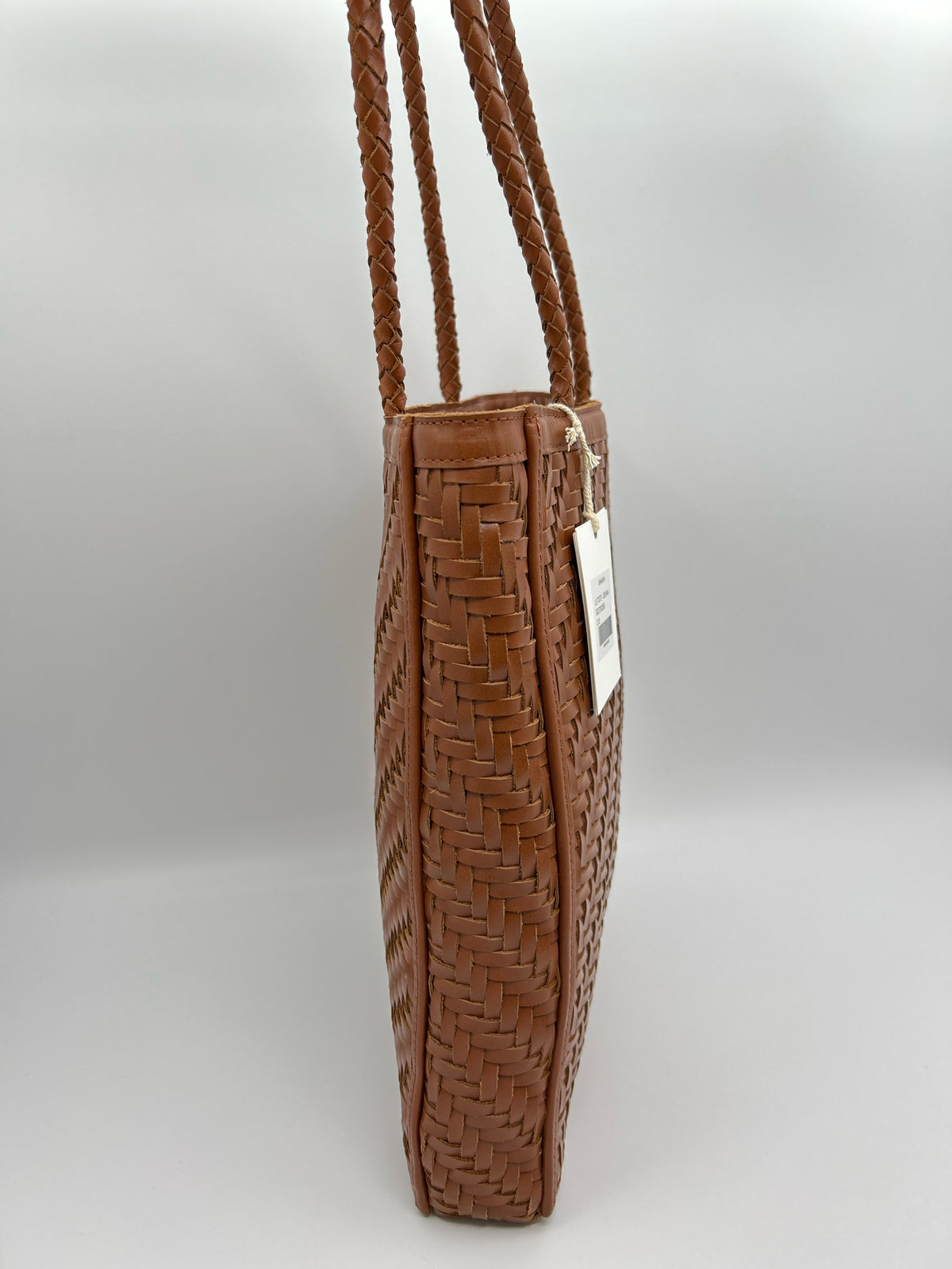BEMBIEN Tan Women Tote