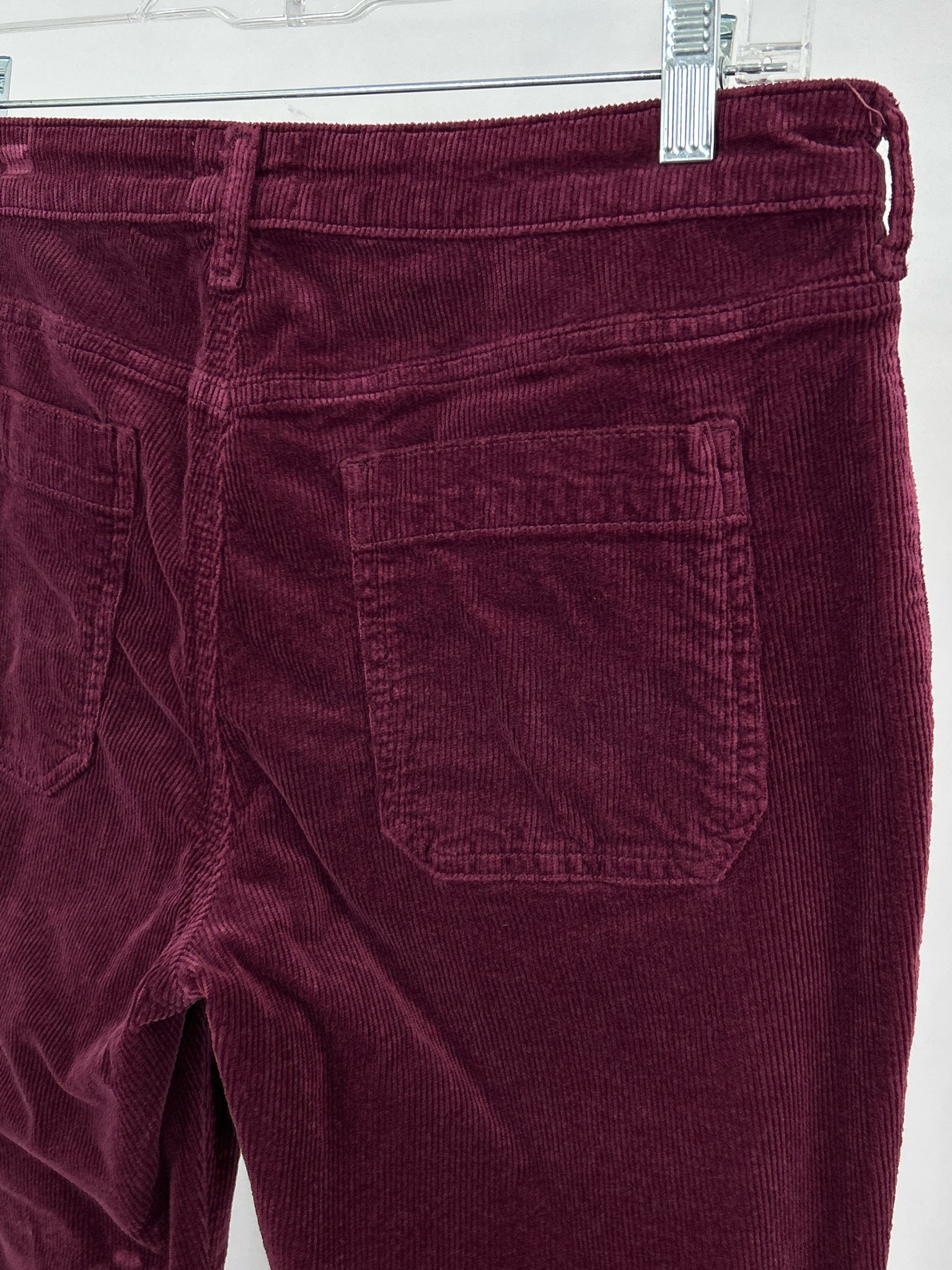 PILCRO Size 29/8 Purple Women Pants