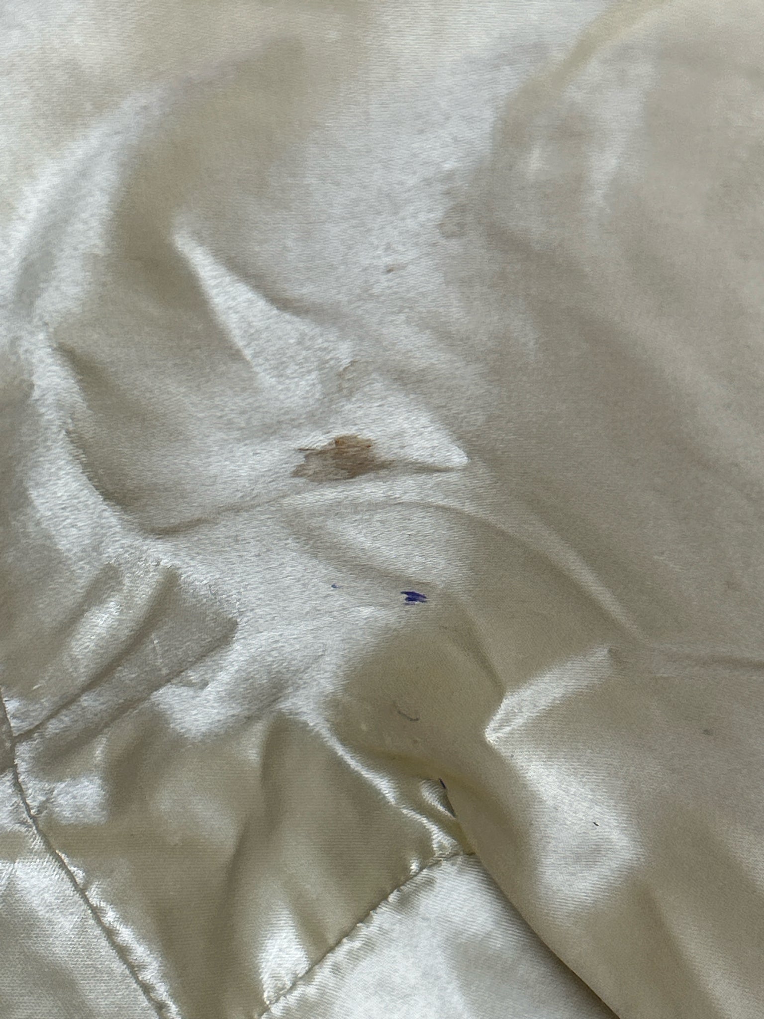 FRANCES COBIASIA COGNAC Women Purse