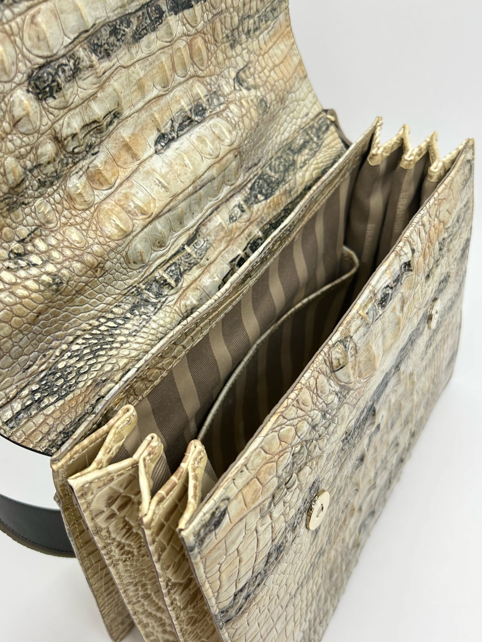 BRAHMIN BROWN AND BEIGE Women Purse