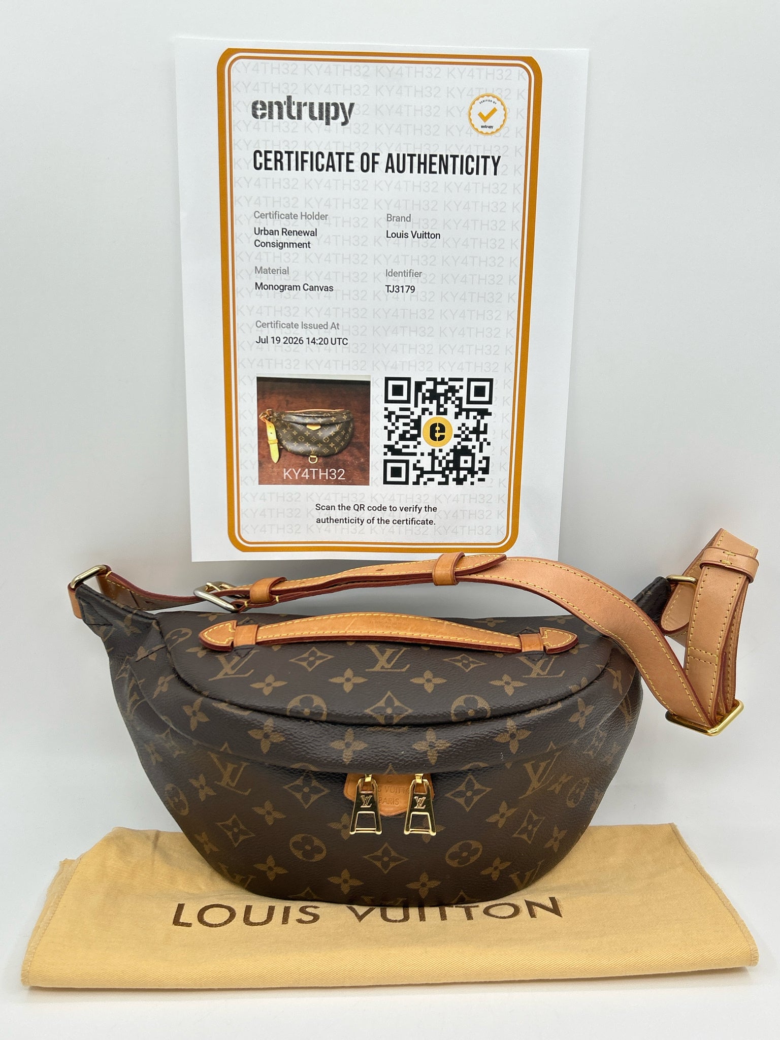 LOUIS VUITTON BROWN MONOGRAM Women Purse