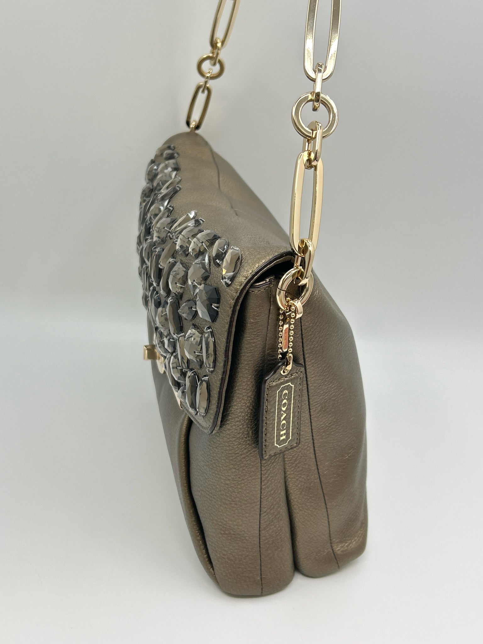 Coach BRONZE Women Purse