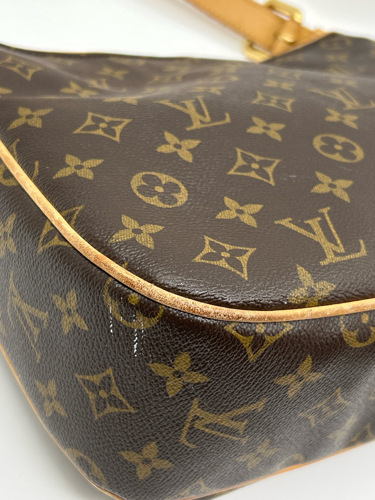 LOUIS VUITTON BROWN MONOGRAM Women Purse