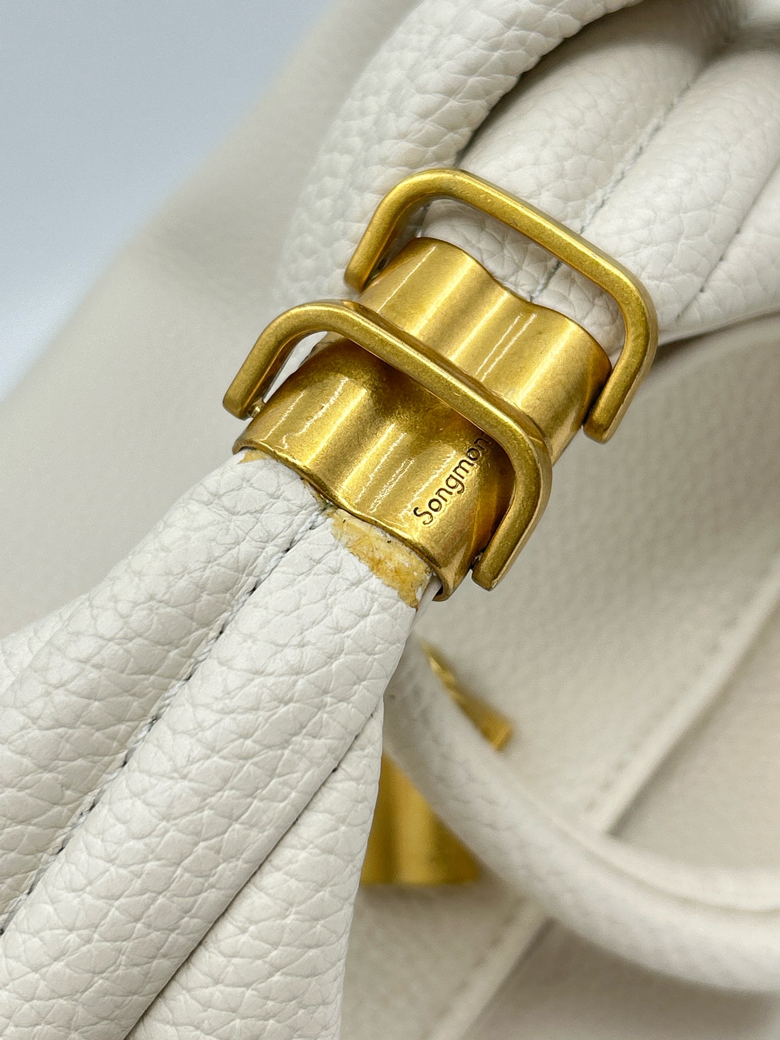Songmont Ivory Women Purse
