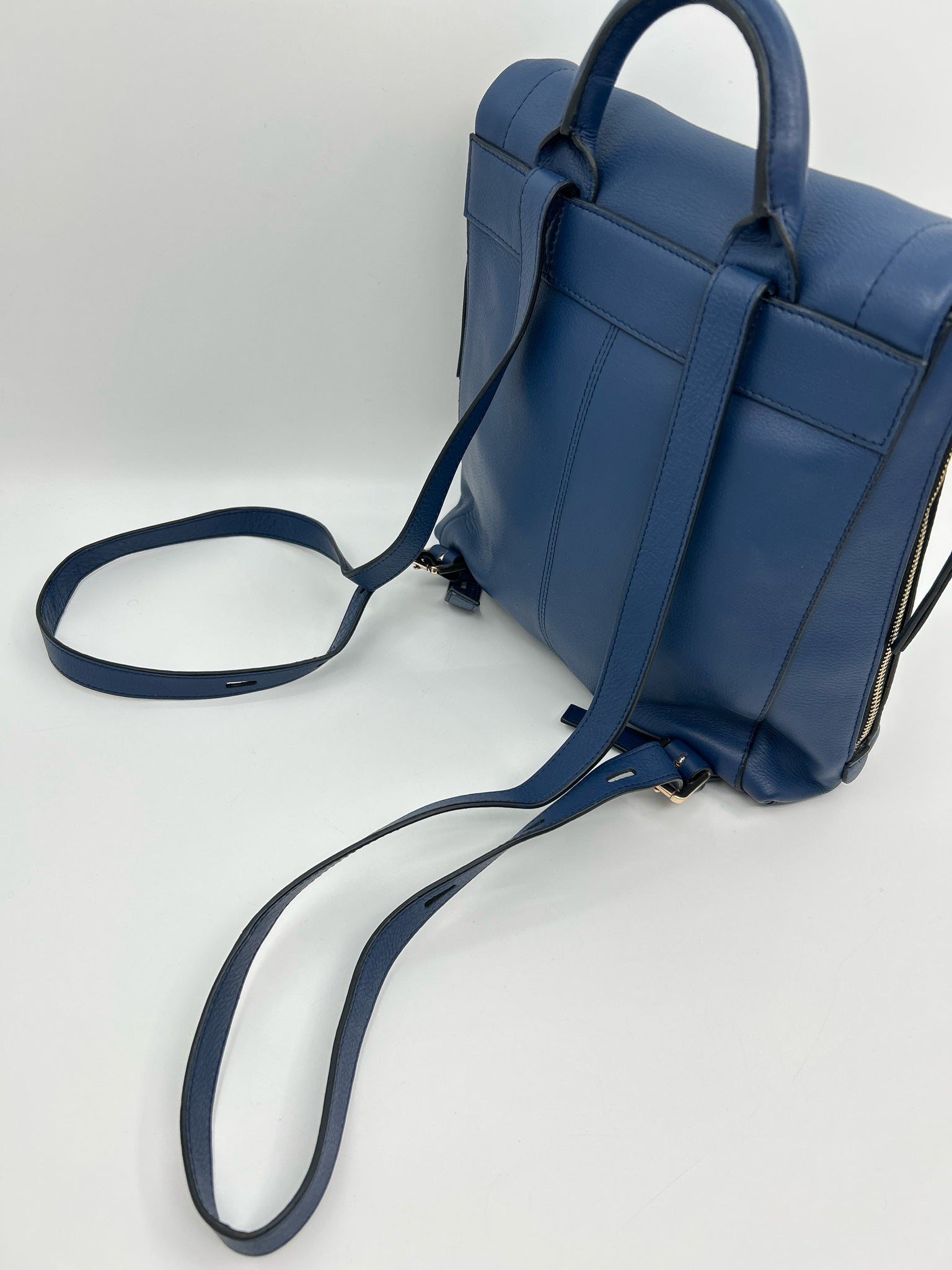 LODIS Blue Women Backpack