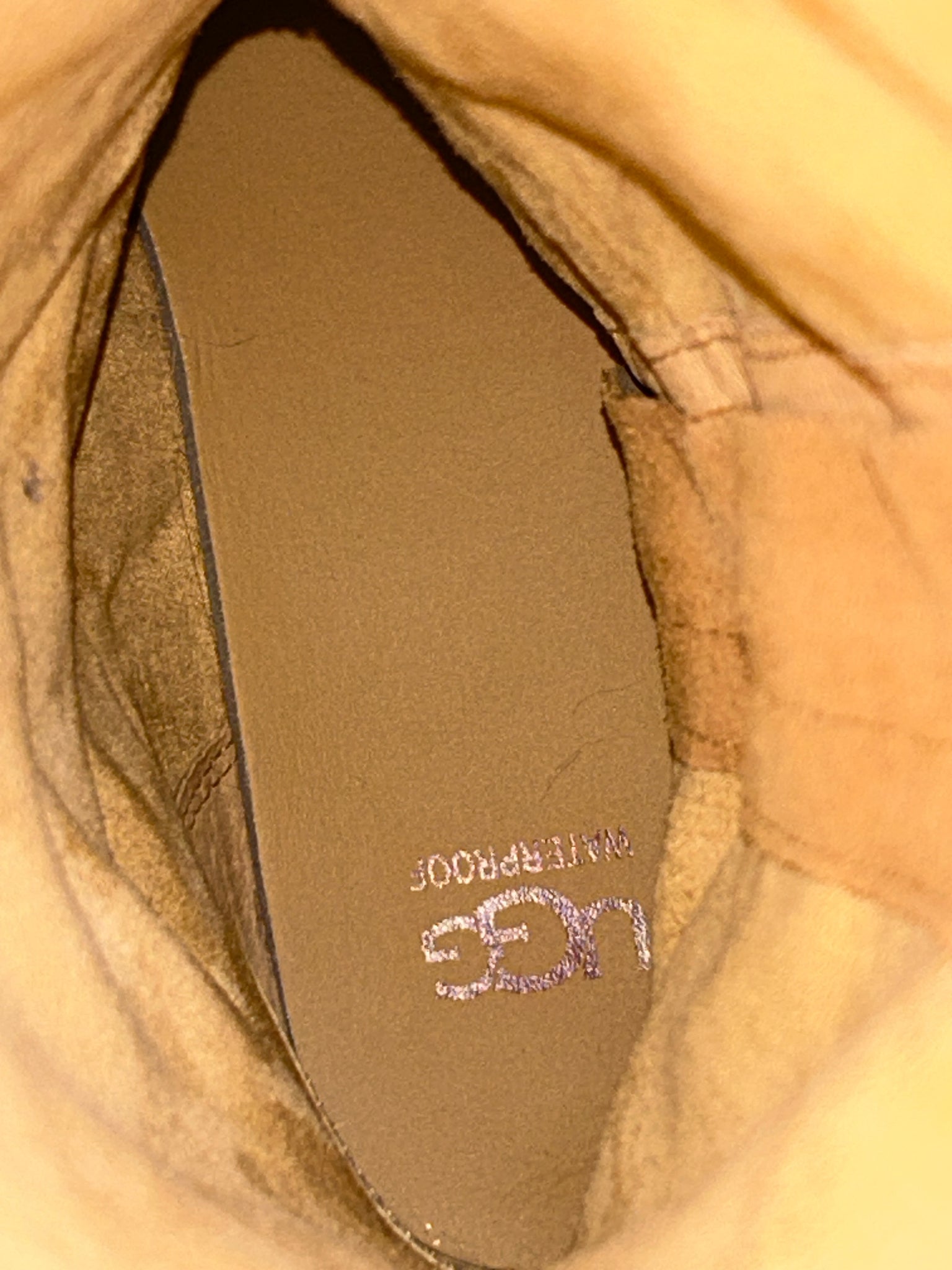 UGG Size 9 CHESTNUT Women Boots
