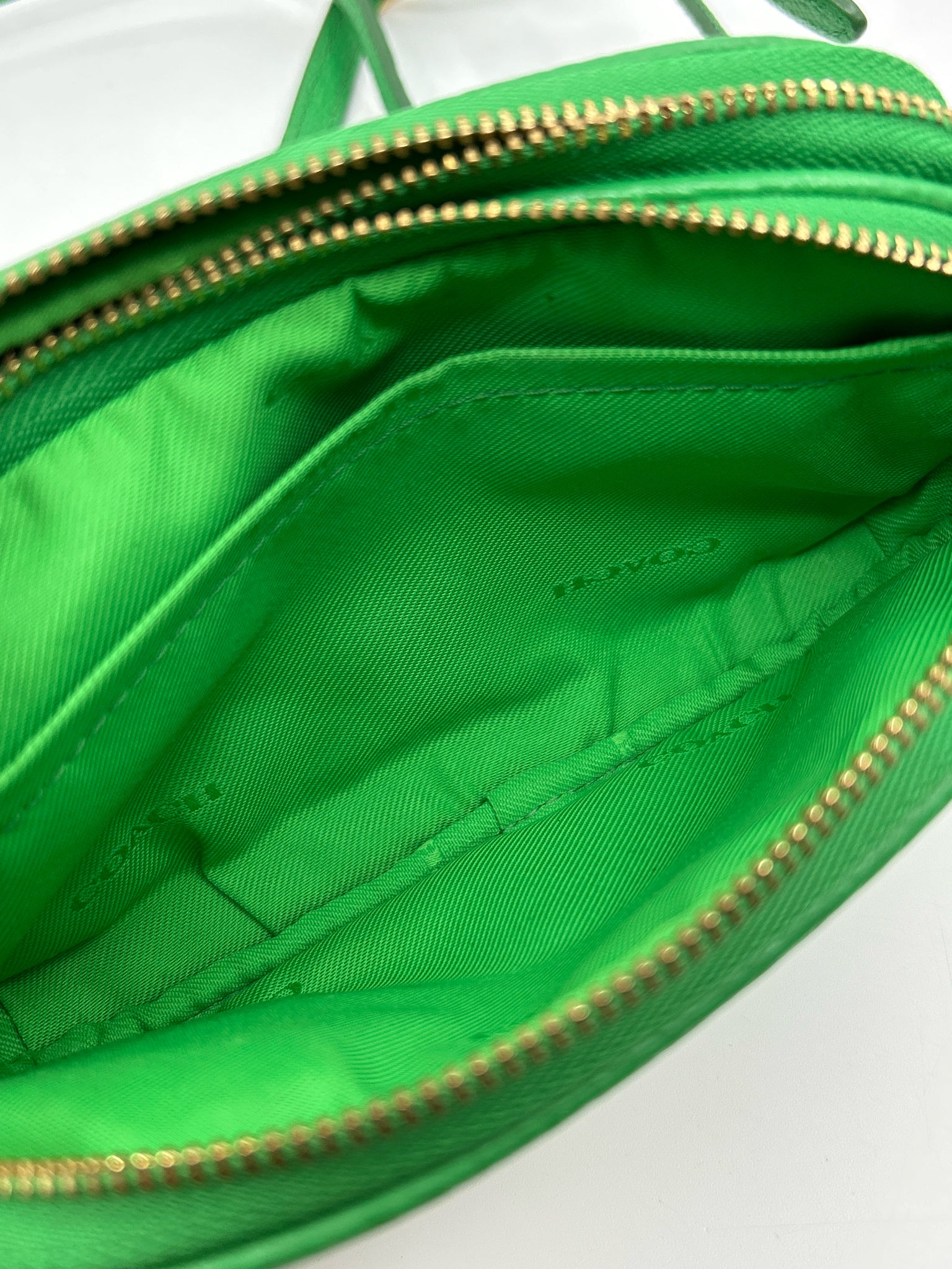 COACH Green Women Purse