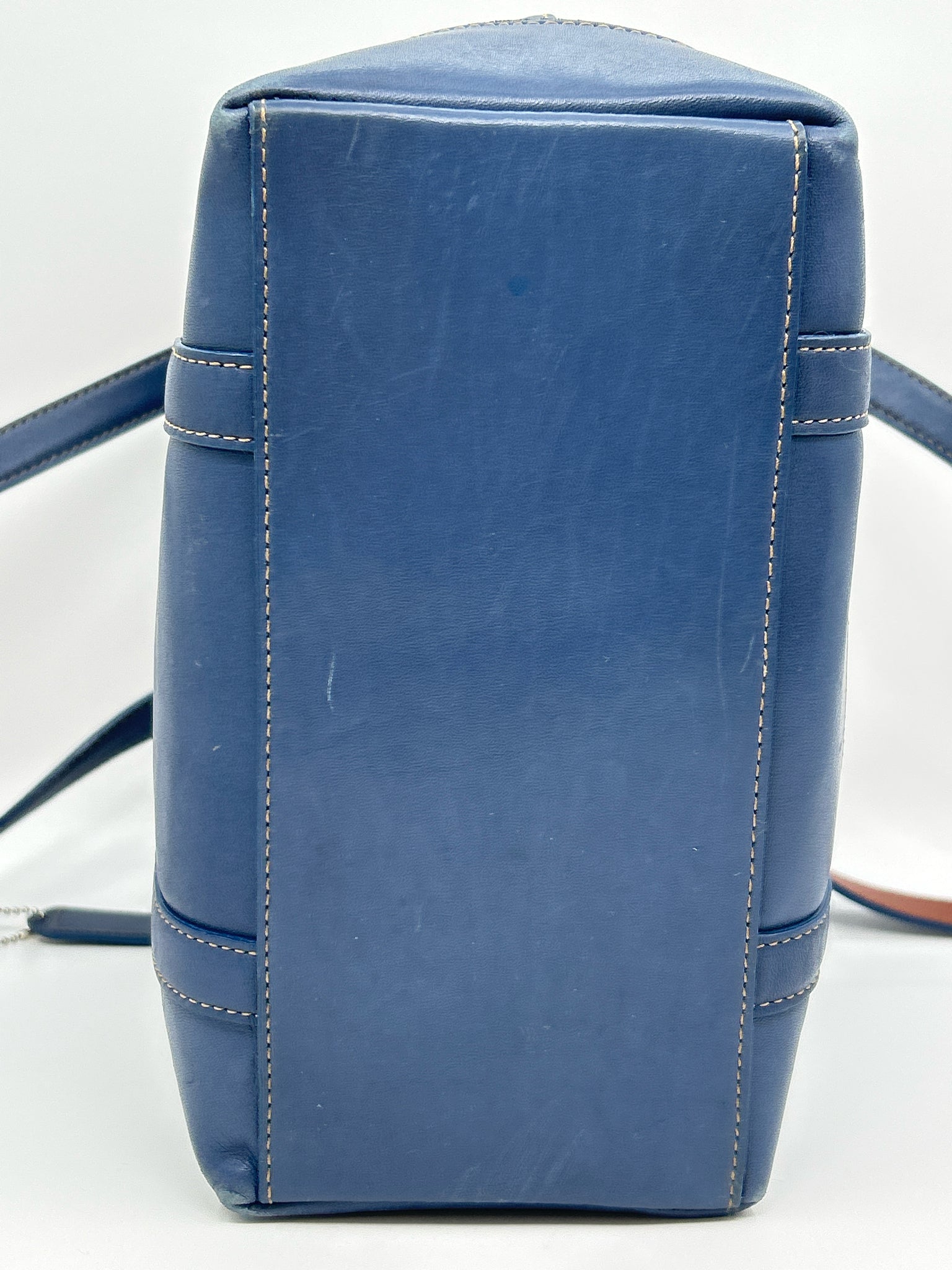 Coach Blue Women Tote