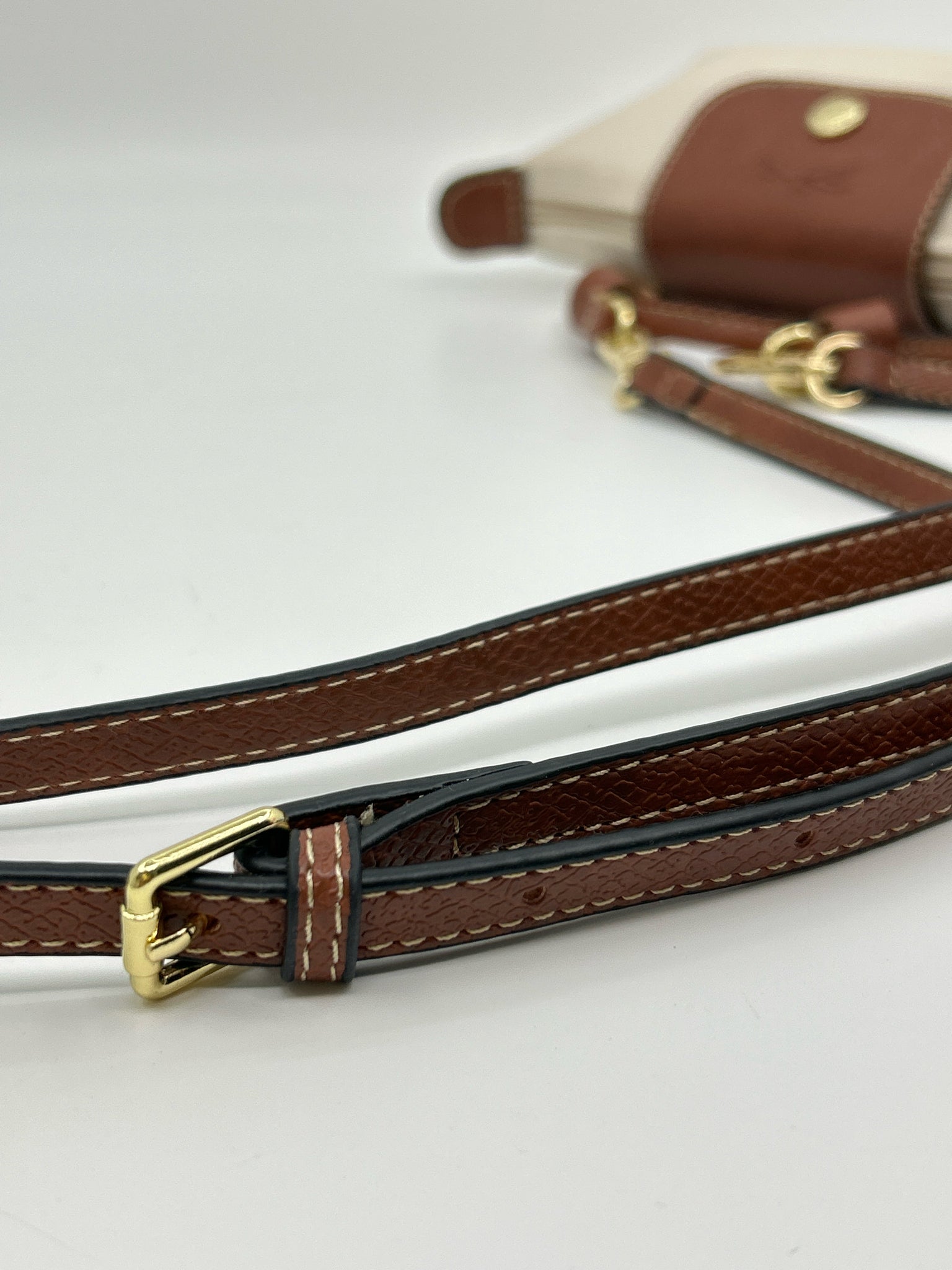 LONGCHAMP IVORY AND BROWN Women Purse