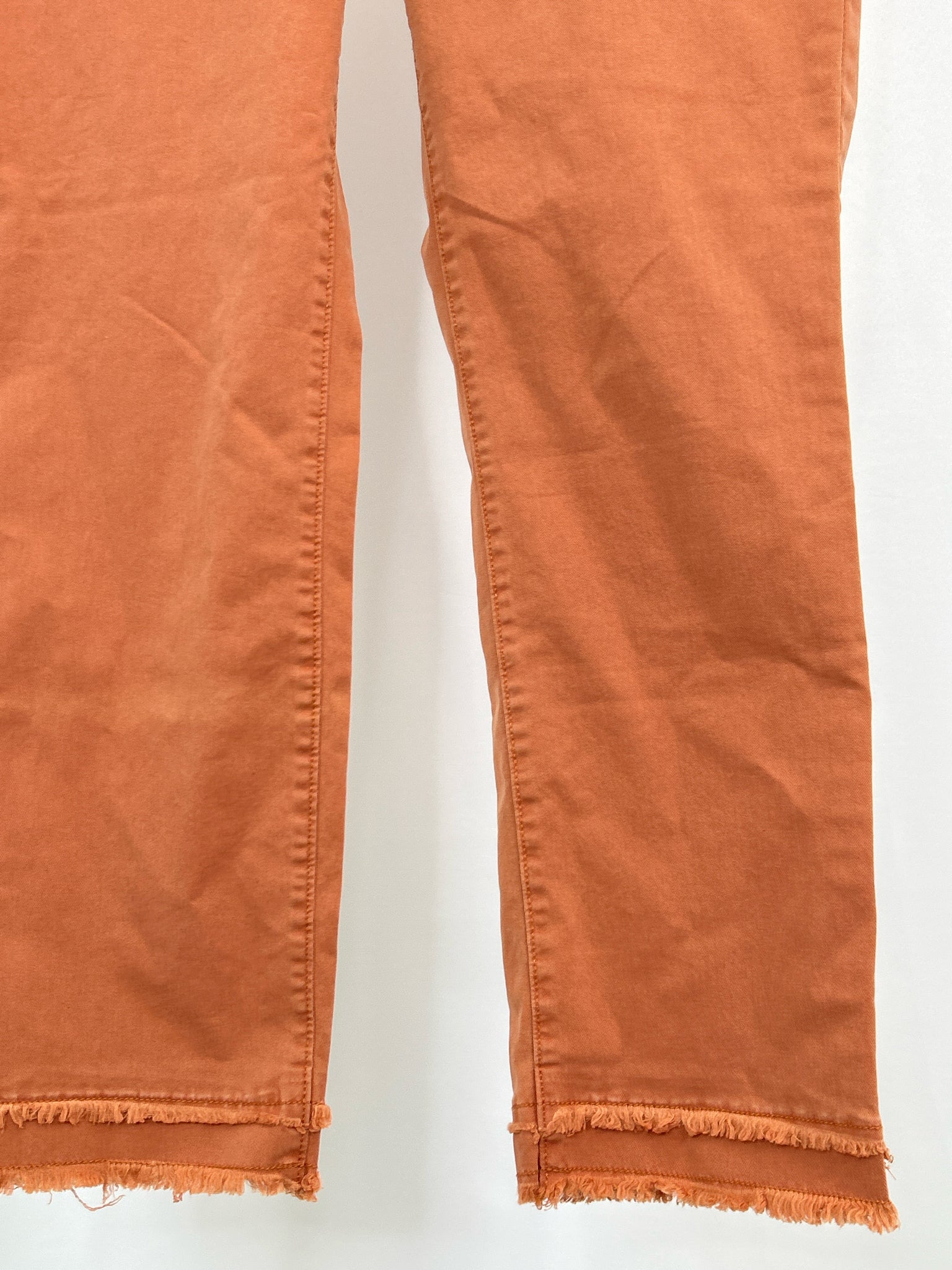 LOFT Size 10 RUST Women Pants
