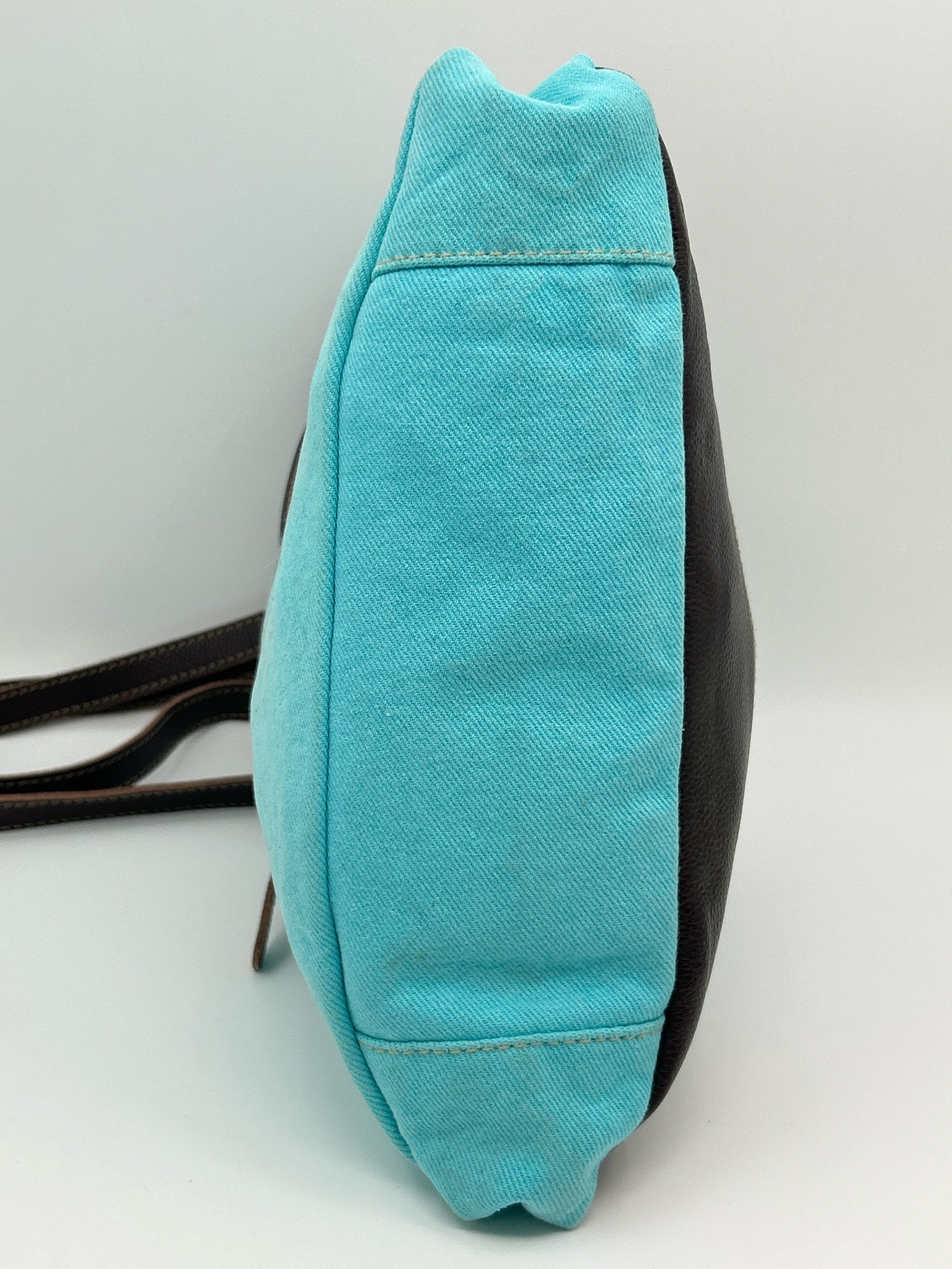 MYRA BAG Blue and Brown Women Purse