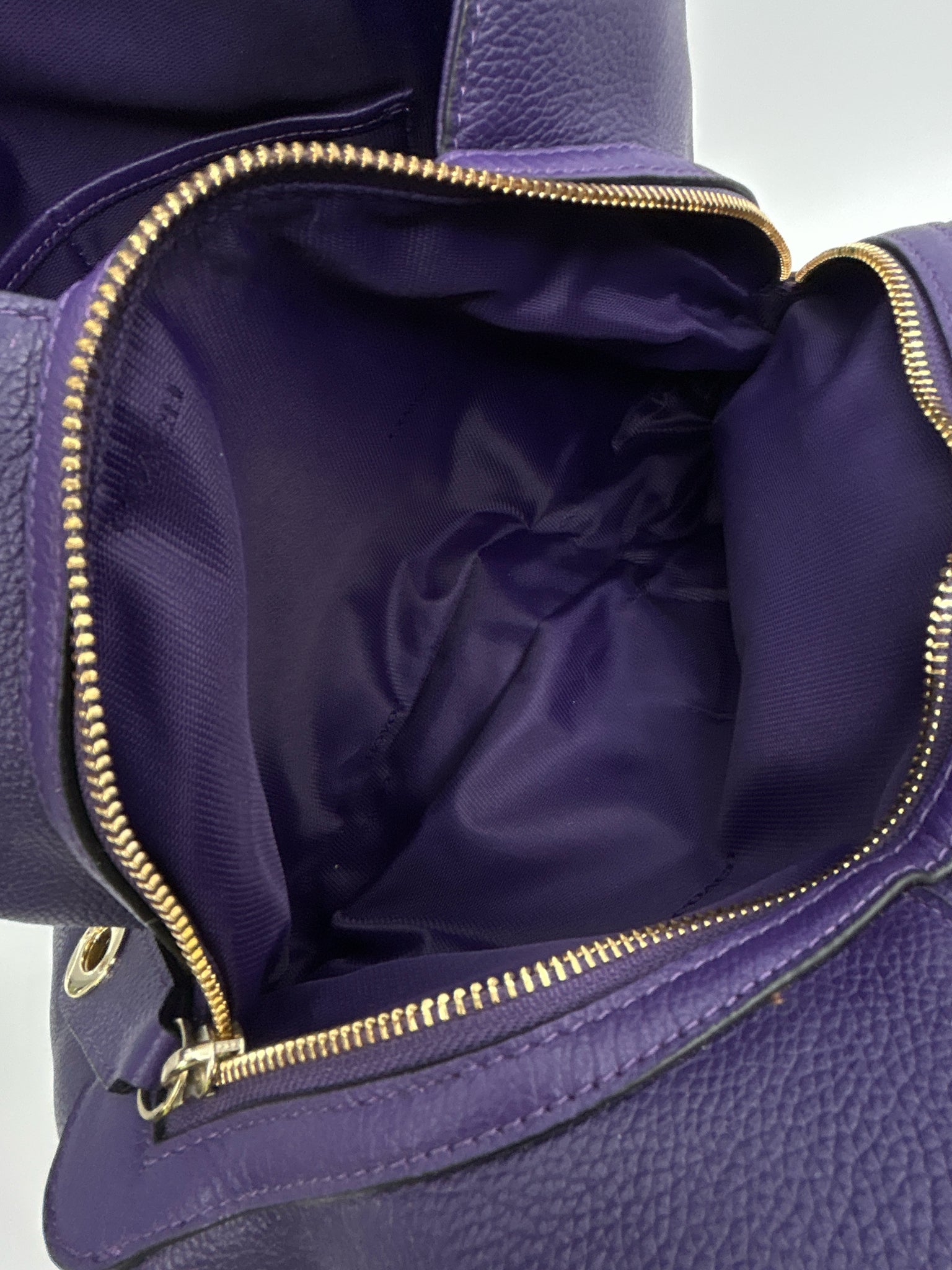 COACH Purple Women Purse