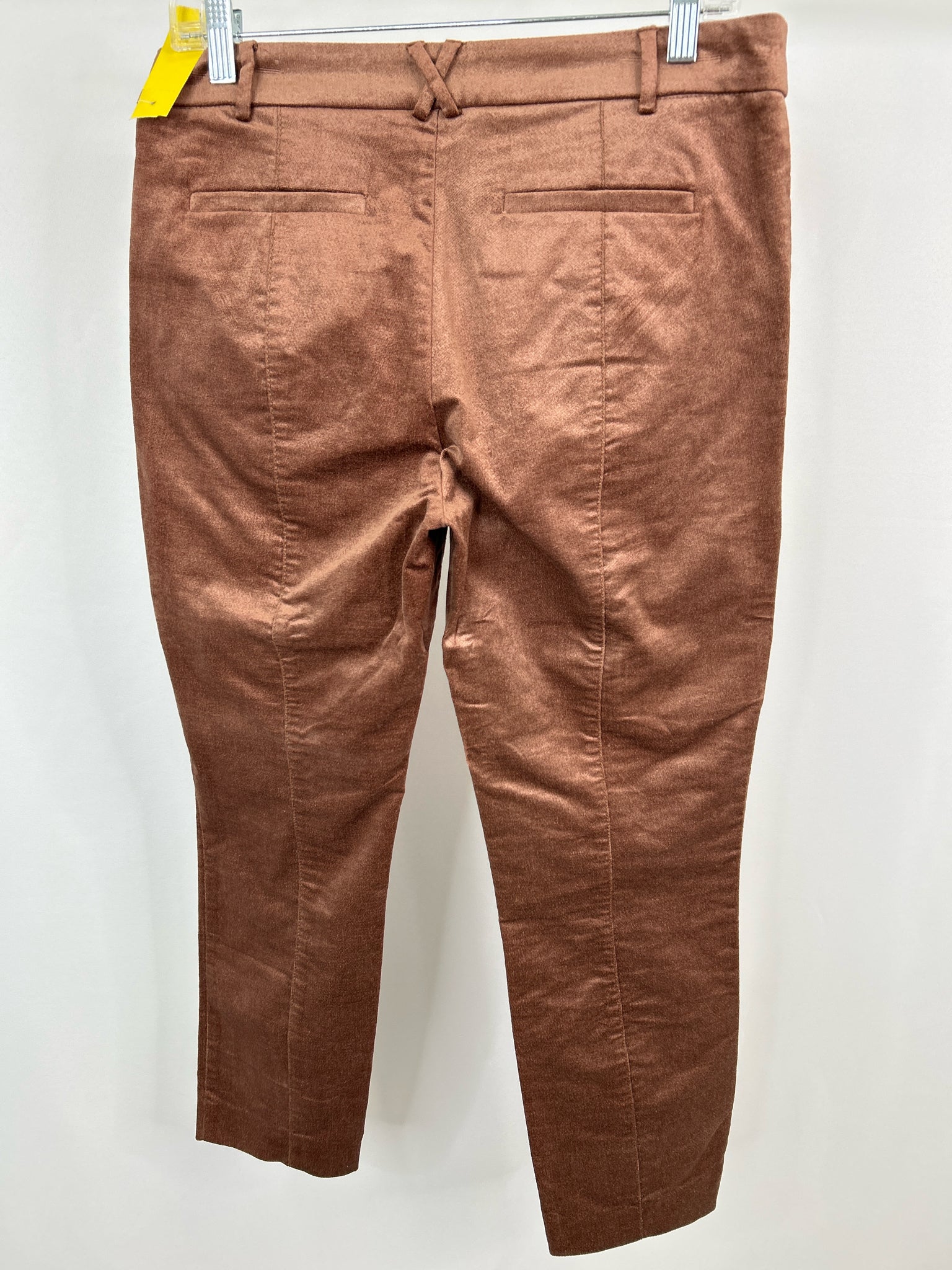 ANTHROPOLOGIE Size 8 Taupe Women Pants