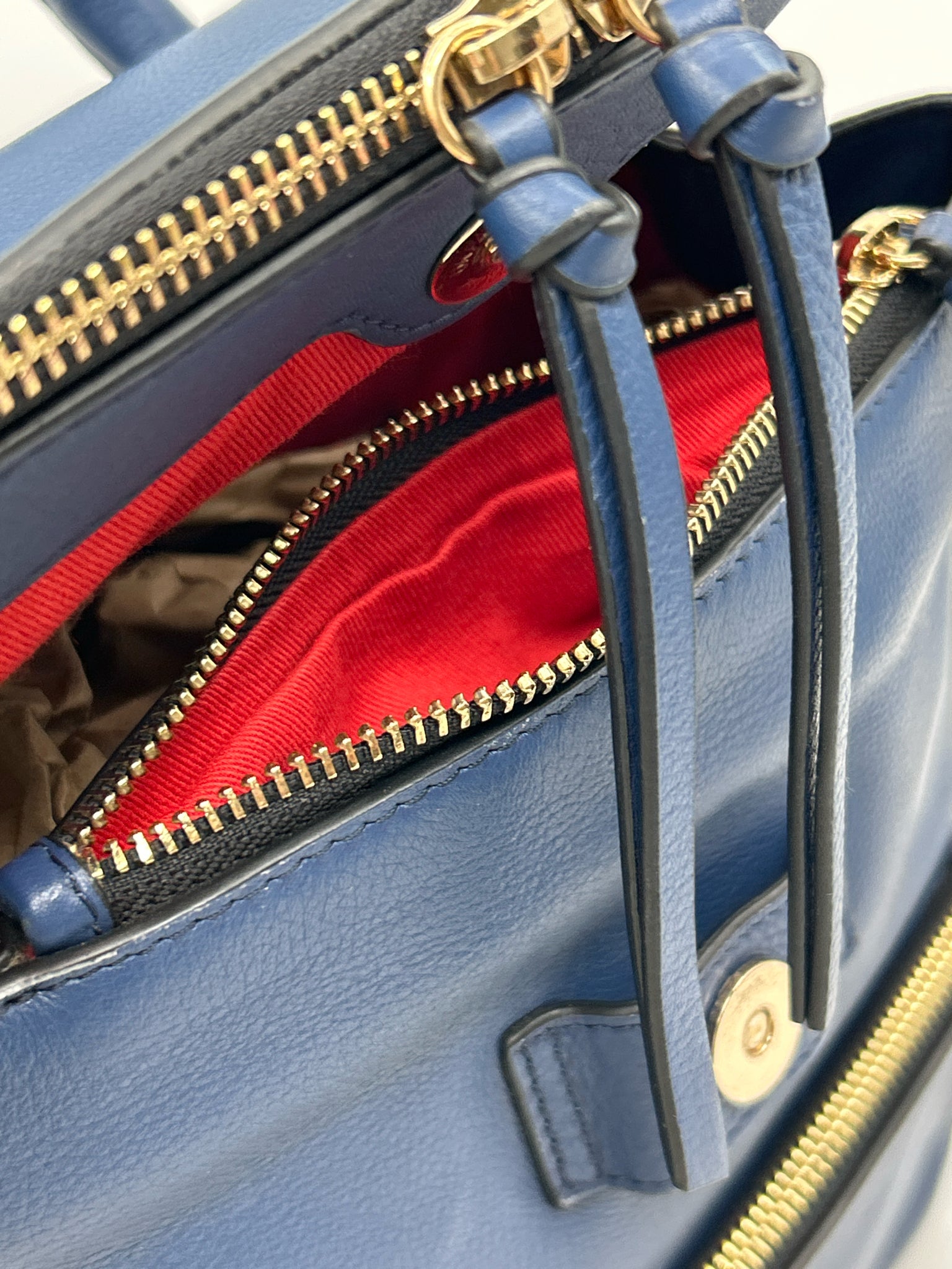 LODIS Blue Women Backpack