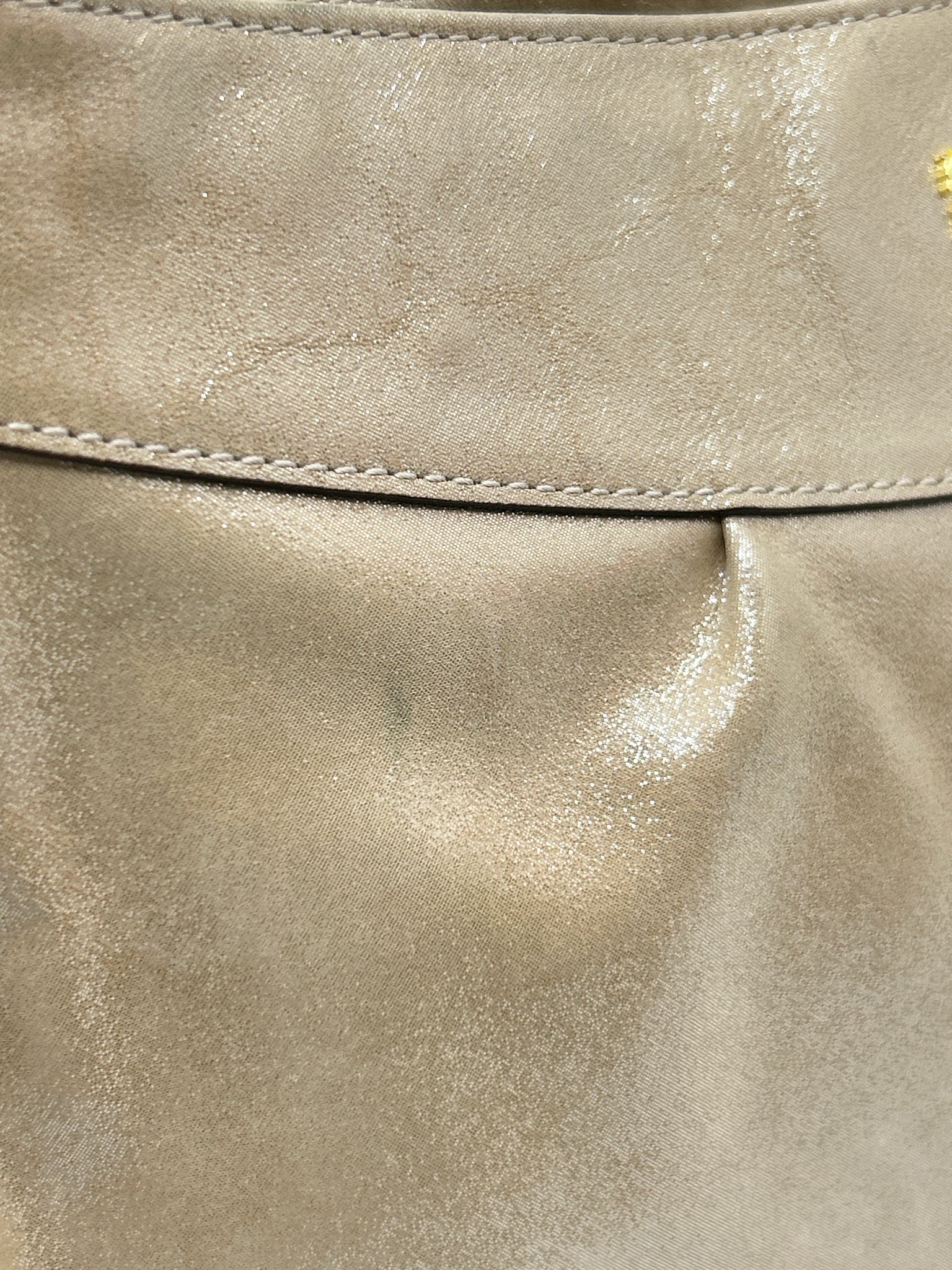 COACH METALLIC BEIGE Women Purse