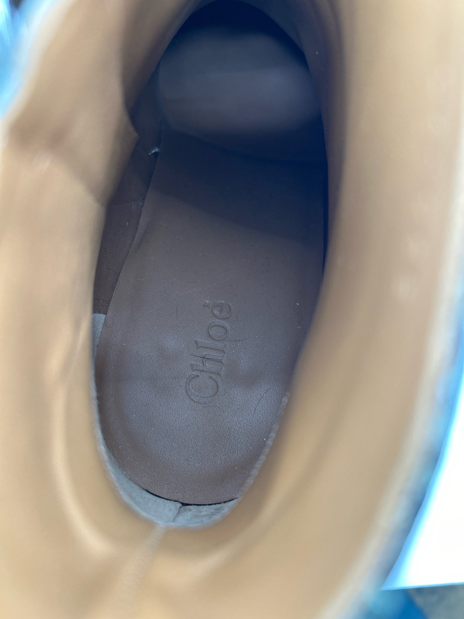 CHLOE Size 38.5 GREEN AND BLACK Women Booties