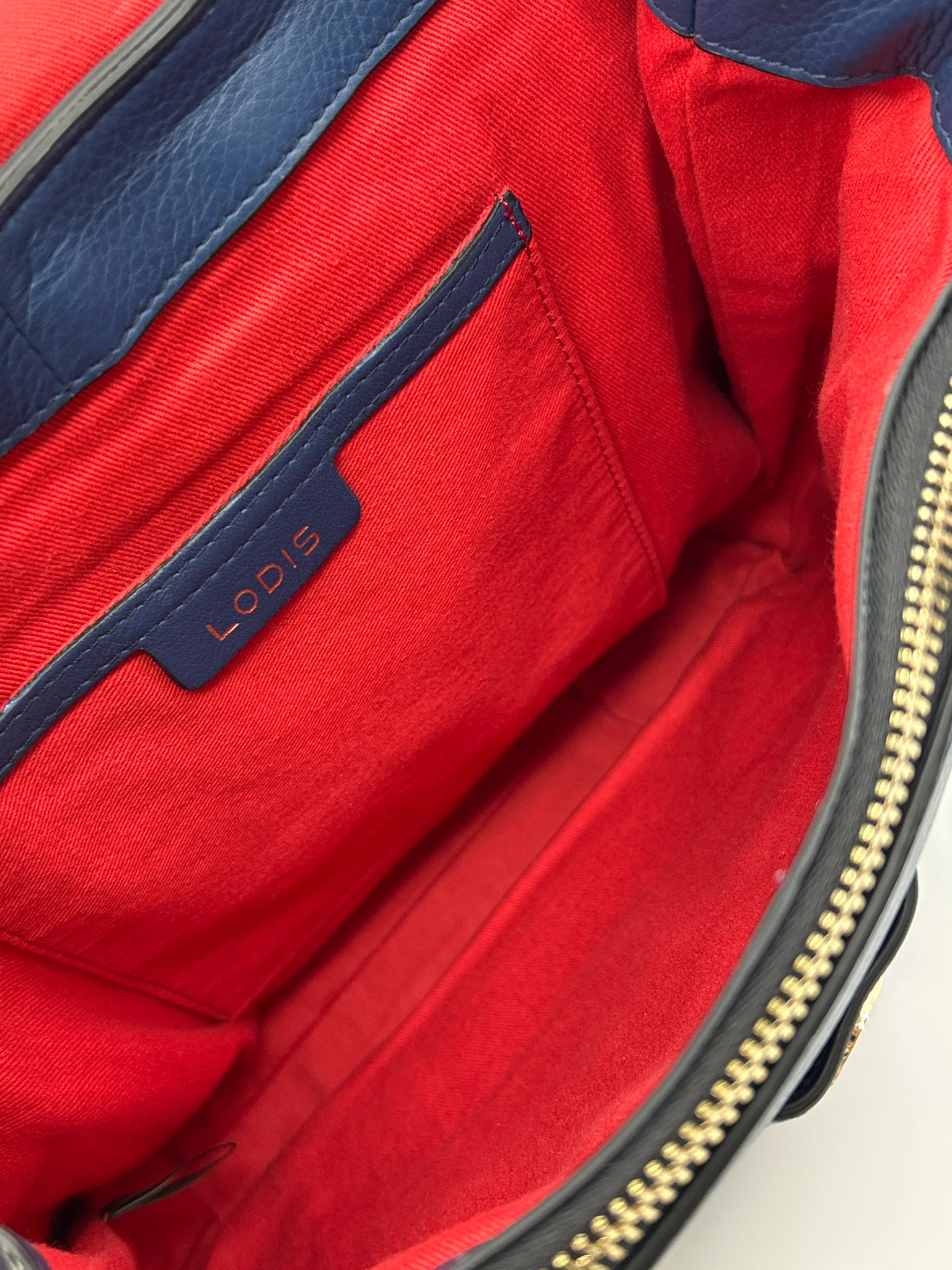 LODIS Blue Women Backpack