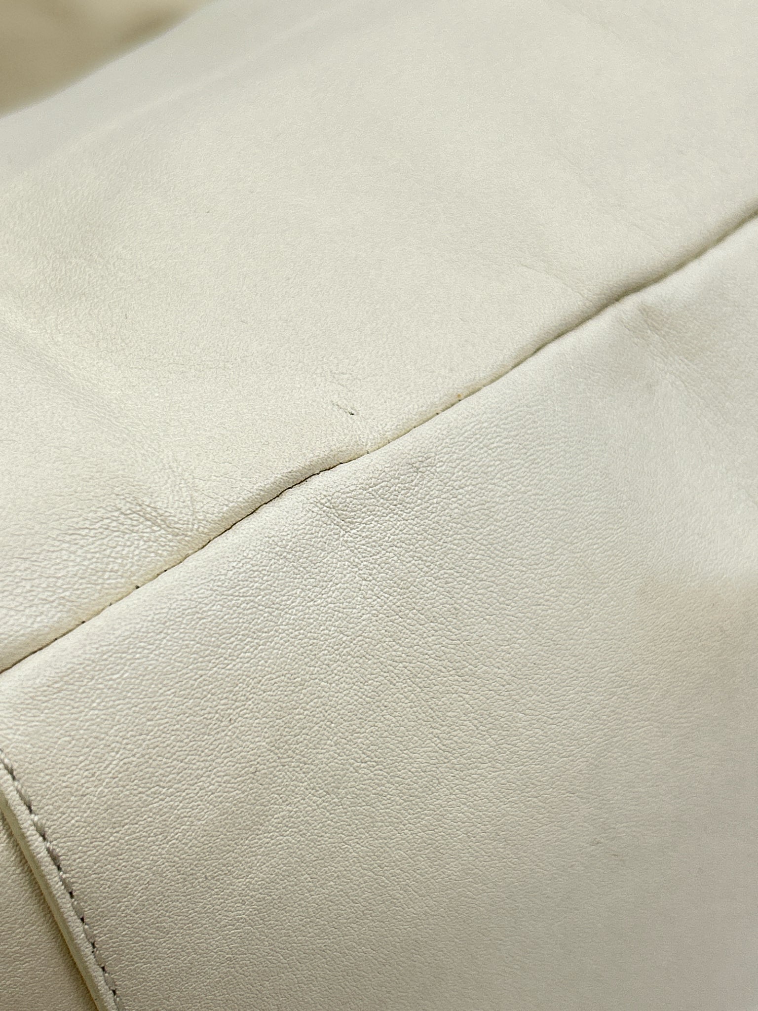COACH Ivory Women Purse