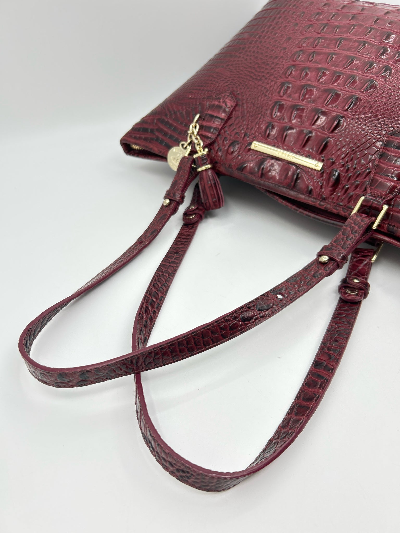 BRAHMIN FIG Women Tote