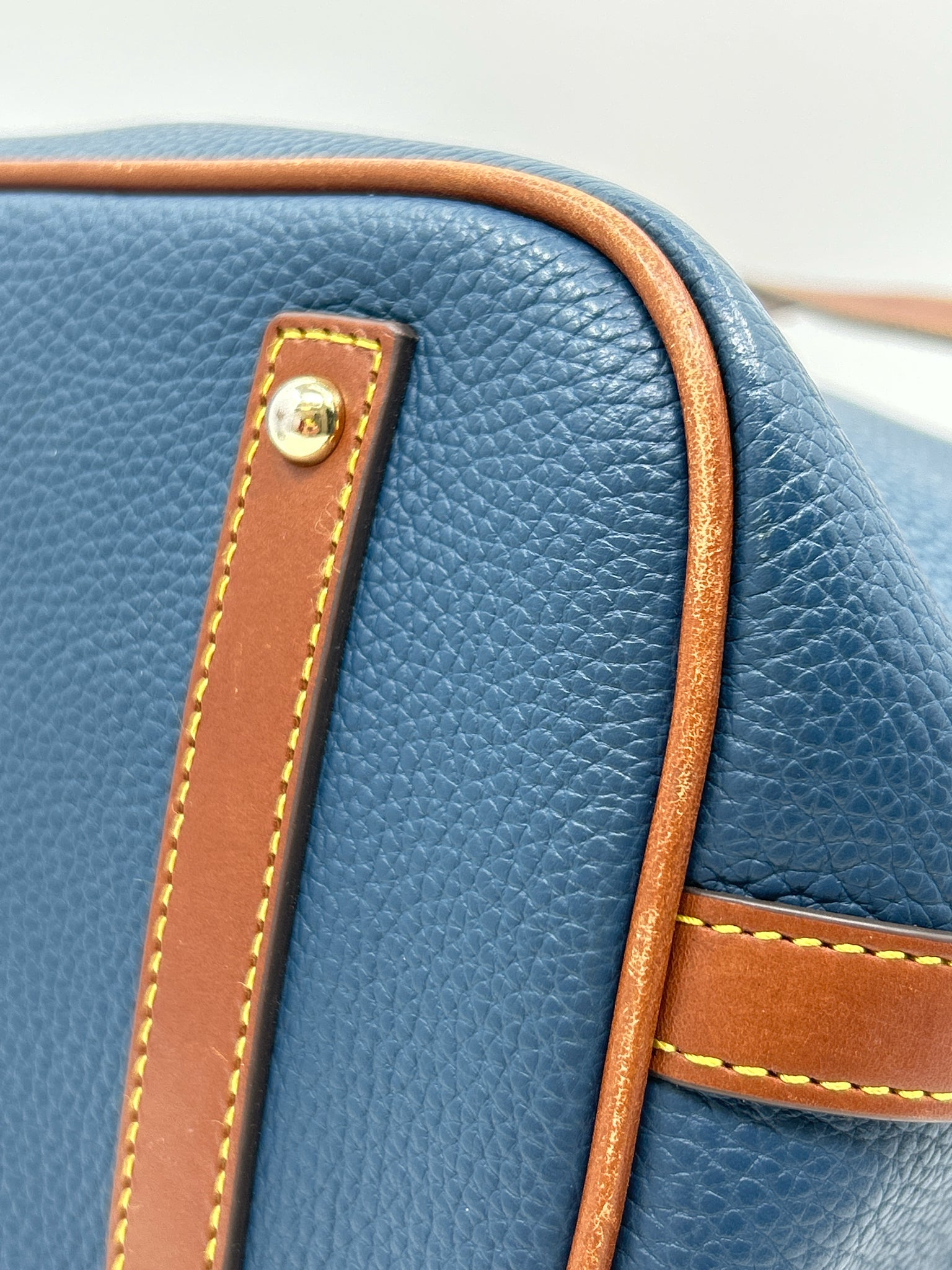 DOONEY & BOURKE Blue and Brown Women Purse